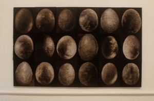 18_oeufs_et_crânes