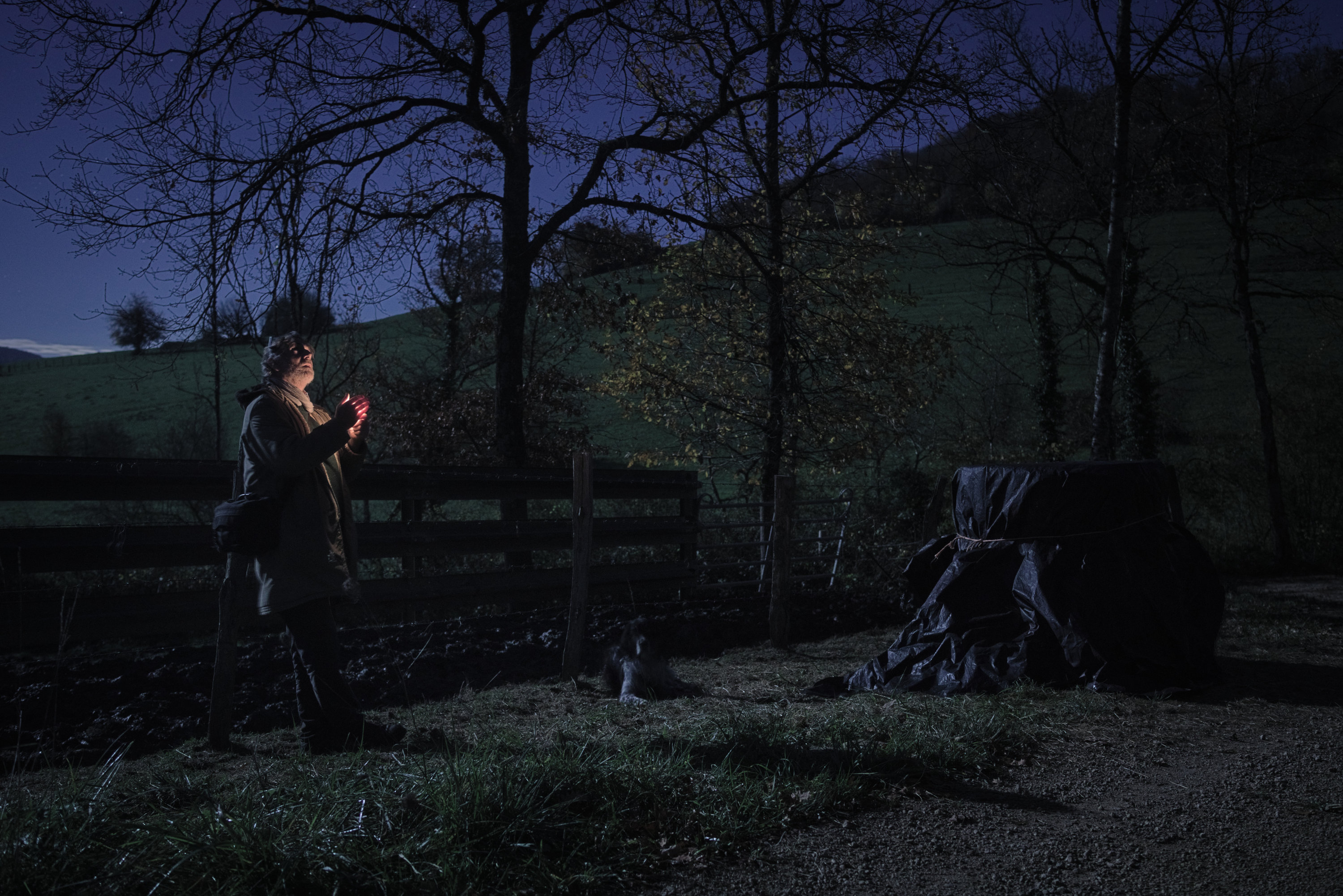 Bast-Moonlight Delatour-s