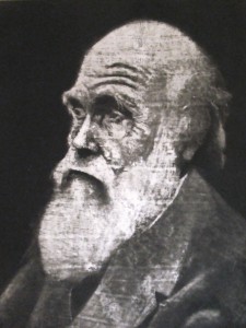 Darwin par Julia Margaret Cameron
Collection privée