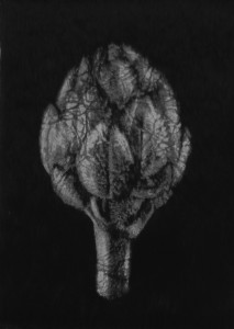 2013/ 20x28cm
collection privée