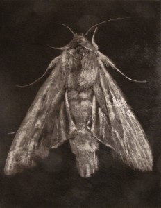 2012/ 50x70cm
collection privée