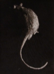 2011/ 30x45cm